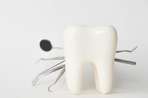 Picture of a tooth figure with dental instruments behind it.